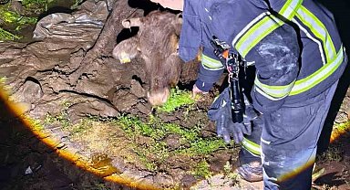 Çamura saplanan inek, itfaiye ekiplerince kurtarıldı