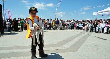 Çanakkale'de 'Boğazın Minik Çobanları' yarışması
