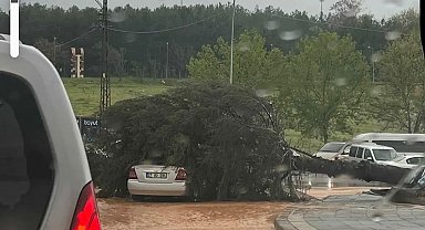 Çatılar uçtu, ağaçlar devrildi, park halindeki araçlar büyük zarar gördü