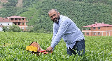 Çay üreticileri yaş çay alım fiyatındaki artış sonrası kuru çaya da zam bekliyor