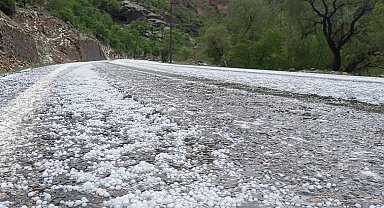 Çayırlı'da dolu yağışı etkili oldu