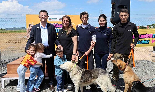 Çekmeköy'de patili dostlara yeni yuva umudu