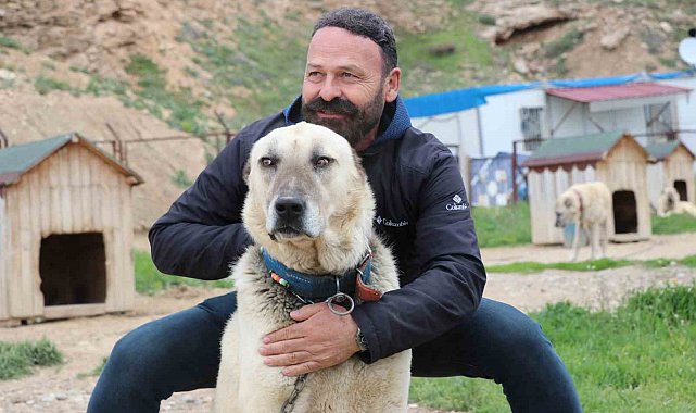 Değişken havalar Anadolu aslanlarını depresyona soktu