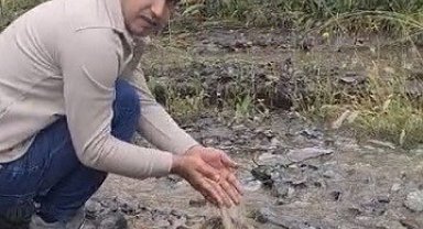 Dere yatağında mahsur kalan köpek ile toprak altındaki kaplumbağa kurtarıldı