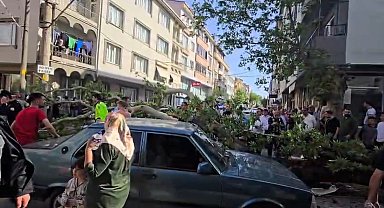Devrilen ağacın altında kalan motosiklet sürücüsünün durumu ağır