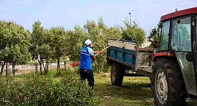 Didim Belediyesi'nden okullarda ot biçme ve çevre düzenleme çalışması