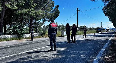 Didim'de kurbanlık denetimi