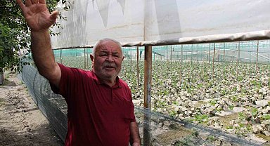 Diktiği binlerce kök fidesi sel sonrası çürüyen çiftçi: "Bu afet Allah'tan geldi, boynumuz kıldan ince"