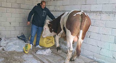 Diyadin'de besicilik geçim kapısı oldu
