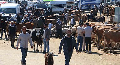 Diyarbakır Canlı Hayvan Borsasında kurbanlık hareketliliği