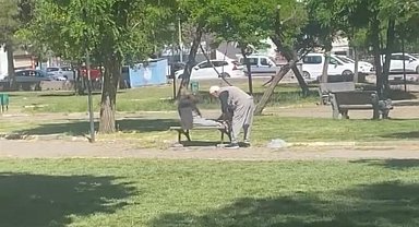 Diyarbakır'da amcalar yaşlarına aldırış etmeden parkta mekik çekti