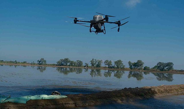 Dron ile çeltik ekimi