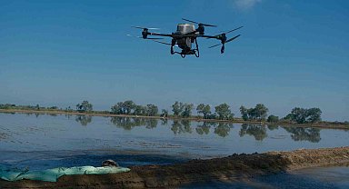 Dron ile çeltik ekimi
