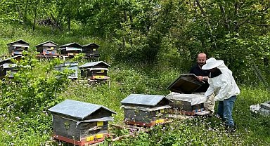 Düzce'de yıllık 502 ton üretiliyor