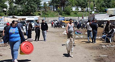 Elazığ hayvan pazarında hareketlilik sürüyor
