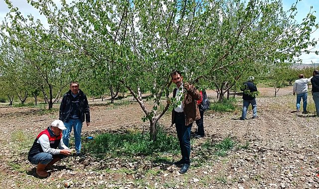 Elazığ'da dolu sonrası hasar tespiti yapıldı