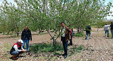 Elazığ'da dolu sonrası hasar tespiti yapıldı