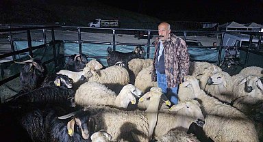 Elazığ'da kurban pazarında uykusuz mesai: Geceyi hayvanlarının başında geçiriyorlar