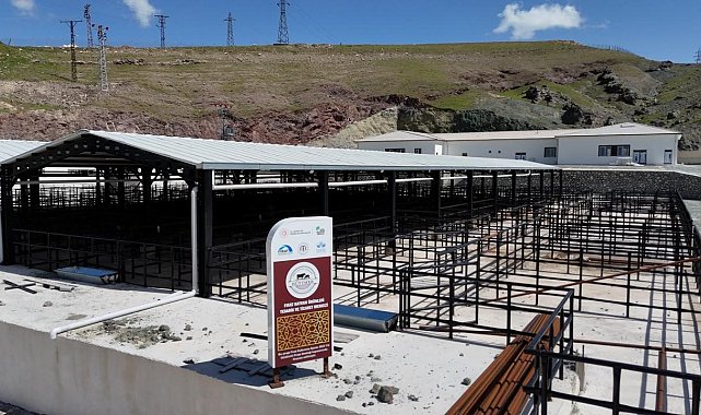 Elazığ'da kurban satış ve kesim alanlarında çalışmalar başladı