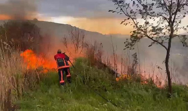 Elazığ'da otluk alanda yangın