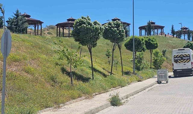 Elazığ'da şiddetli rüzgar etkili oldu