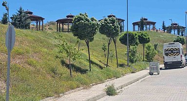 Elazığ'da şiddetli rüzgar etkili oldu