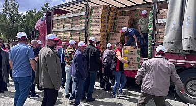 Erzincan'da 220 üreticiye 779 bin 520 sebze fidesi dağıtıldı
