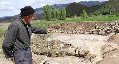 Erzurum'da boz ayı Oltu Çayı'nda telef oldu