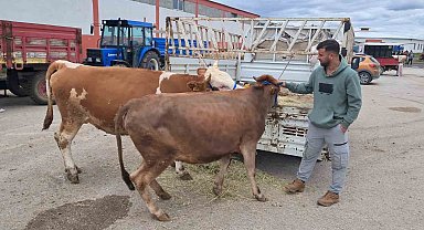 Erzurum'da kurban pazarı hareketlendi
