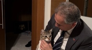 Evin anahtarı arabada kaldı, kapıyı 'Fred' açtı