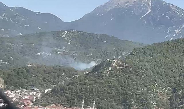 Fethiye'de orman yangını