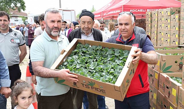 Gebzeli çiftçiye 500 bin sebze fidesi desteği