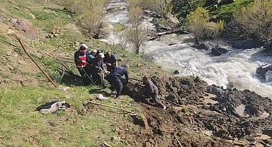 Hakkari'de bataklığa saplanan inek kurtarıldı