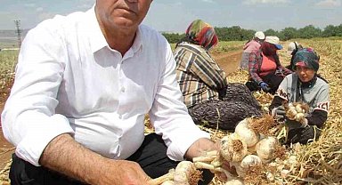 Hasan Altun'dan '14 Mayıs Dünya Çiftçiler Günü' mesajı