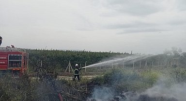 Hassa'da zeytinlik yangını