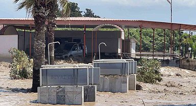 Hatay'da araçlar ve evler sular altında kaldı