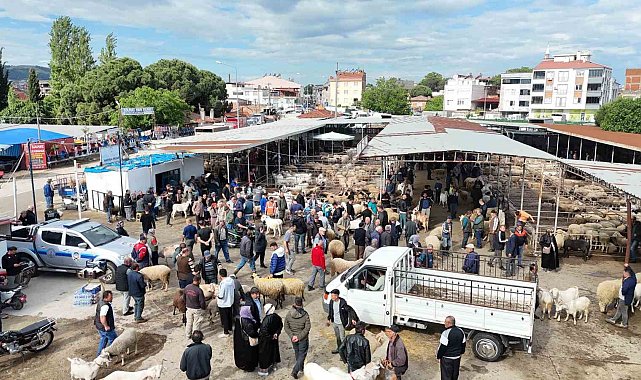 Havran Hayvan Pazarı'nda tarihi arefe yoğunluğu