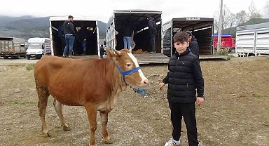 Hayvan pazarının en küçük celepçisi kurbanlık satıyor