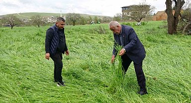 Hububatı 'süper hücre' vurdu
