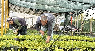 İklim değişikliği ve kuraklık nedeniyle su tasarruflu peyzaj dönemi