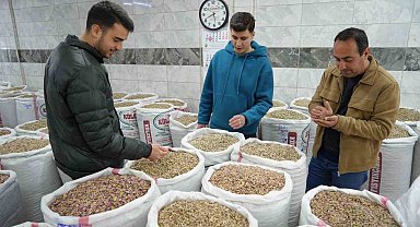 İran-ABD ve İsrail savaşı Antep fıstığı satışını durdurdu