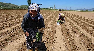 İşçi Bayramı'nın öteki yüzü