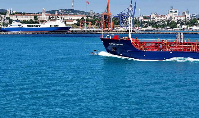 İstanbul Boğazından yunus sürüsüyle Kurban bayramı manzarası