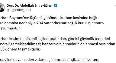 İstanbul İl Sağlık Müdürü Güner: "Kurban Bayramı'nın üçüncü gününde 204 kişi yaralandı"