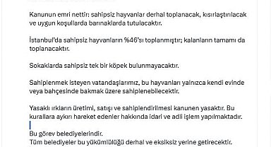 İstanbul Valisi Davut Gül: "Sahipsiz hayvanların yüzde 46'sı toplanmıştır; kalanların tamamı da toplanacaktır"