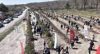 İstanbul'da uyuşturucu operasyonunda şehit olan Emre Albayrak'ın adı hatıra ormanında yaşayacak
