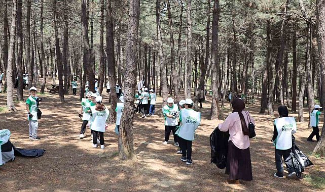 İstanbul'da yangınlara sebebiyet veren 3 bin 850 kilo atık toplandı