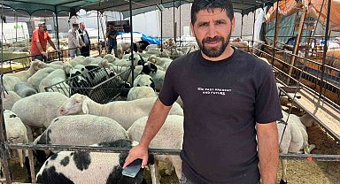 İzmir kurban pazarlarında sosyal medya rüzgarı