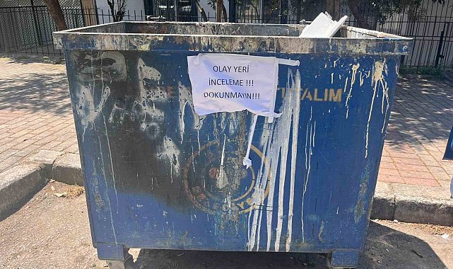 İzmir'de çöpte 33 ölü kedi bulunmasıyla ilgili bir veteriner gözaltına alındı