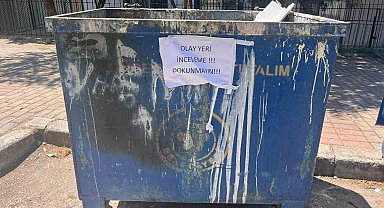 İzmir'de çöpte 33 ölü kedi bulunmasıyla ilgili bir veteriner gözaltına alındı